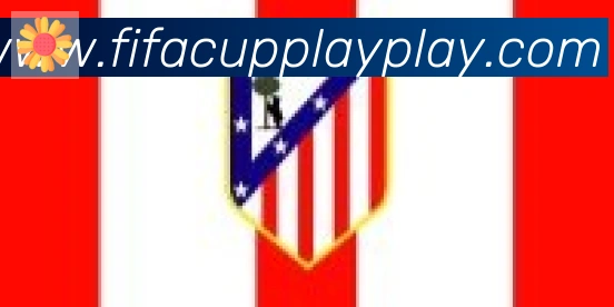FIFA世界杯赛事官方网站合作伙伴